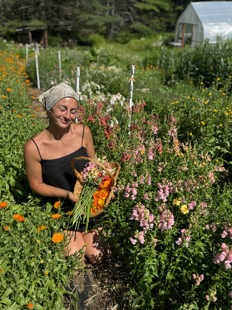 Herbalism Workshops