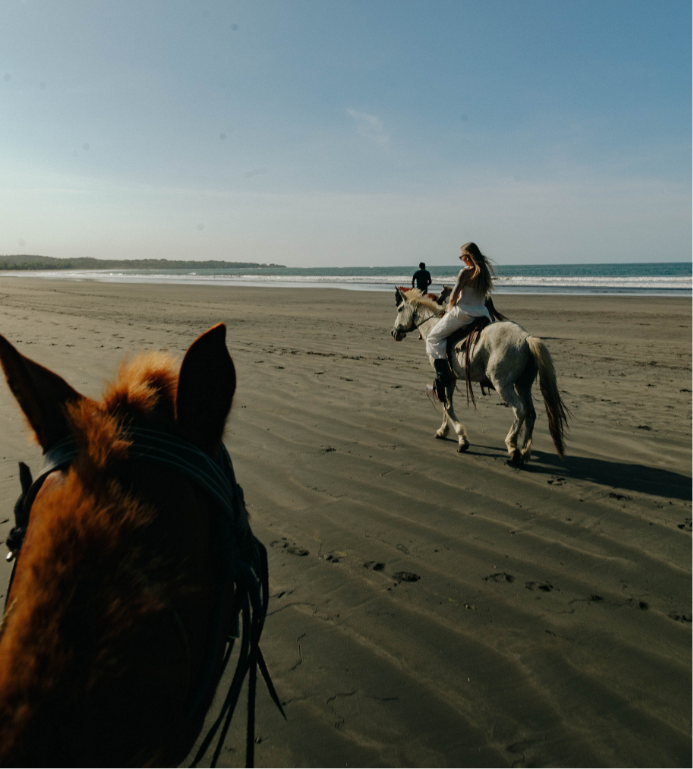 Horseback Riding